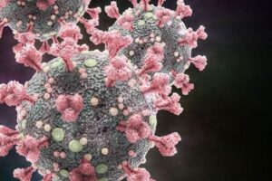 【新型コロナ】軽症や中等症などの実態を示したイラストが、分かりやすいと話題に