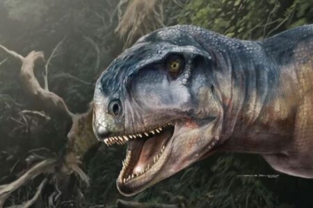 アルゼンチンで新種の肉食恐竜の化石を発見、研究結果を発表