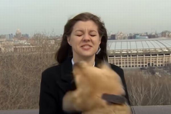 ロシアのテレビ中継でハプニング、お天気レポーターのマイクが犬に奪われてしまう