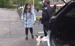 米のレポーターが取材中に犬の誘拐犯と遭遇、問い詰め罪を暴く