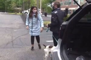 米のレポーターが取材中に犬の誘拐犯と遭遇、問い詰め罪を暴く