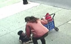 ニューヨークの歩道でうずくまっている幼児を発見、実は5階から落下していた！