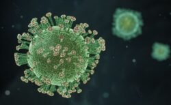 数年前にマレーシアで新しいコロナウイルスを検出、動物から感染か？
