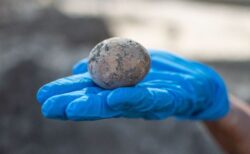 イスラエルの遺跡で古代の鶏卵を発見、ほぼ完全な状態で残っていた！