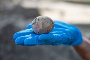 イスラエルの遺跡で古代の鶏卵を発見、ほぼ完全な状態で残っていた！