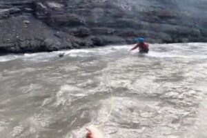 カナダでカヤッカーがヘラジカの赤ちゃんを救助、激流に流されるのを見事キャッチ