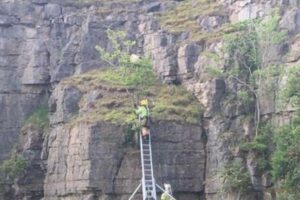 イギリスの崖の上にも「ポニョ」？消防士が行き場を失った羊を救助