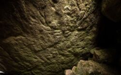スコットランドにある先史時代の遺跡から、岩に刻まれた鹿の絵を発見