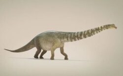 オーストラリアで発見された最大級の恐竜、3D動画で見る太古の姿