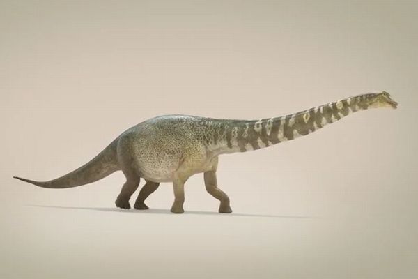 オーストラリアで発見された最大級の恐竜、3D動画で見る太古の姿