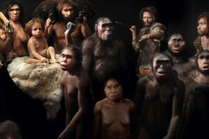 イスラエルで新しいタイプの人類化石を特定、ネアンデルタール人の祖先か