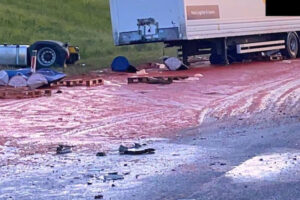 交通事故現場が血のように赤く染まる、まるで「ホラー映画のシーン」のよう