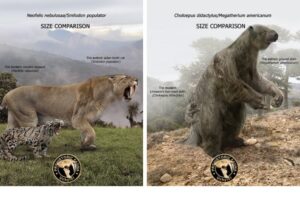 かつてはこんなに巨大だった! 現存する生物と古代生物を並べた画像が圧巻