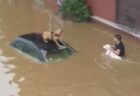 【ベルギー・洪水】住民が胸まで水に浸かりながら、2匹の犬を救助【動画】