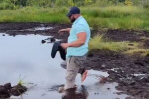 イギリス人観光客が沼を渡ろうとしたらドボン！意外な展開に妻は爆笑