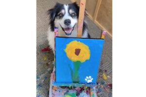 犬がまともな絵を描いた！【動画】