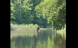 未確認動物ビッグフットか!? ミシガン州で新たな動画が撮影された