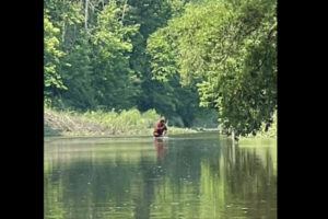 未確認動物ビッグフットか!? ミシガン州で新たな動画が撮影された