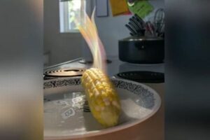 トウモロコシから立ち昇る七色の光、美しく揺らめく動画が不思議