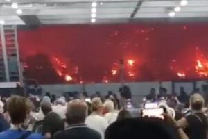 ギリシャで山林火災が制御不能、フェリーで人々が避難する動画が恐ろしい