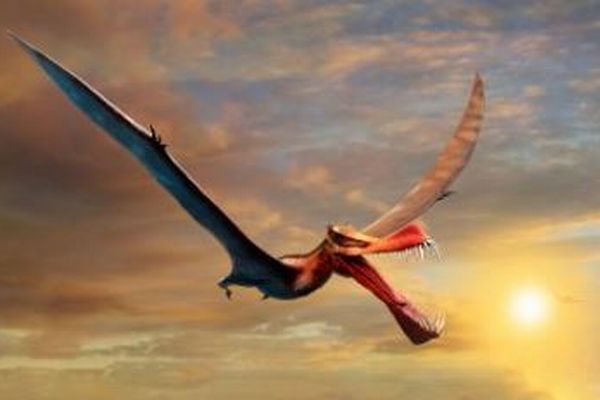 本物のドラゴンか？豪で発掘された巨大な翼竜は、翼の長さが7メートル