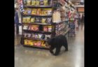 ロサンゼルスのスーパーで、クマがお買い物!?【動画】
