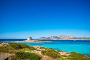 熱波に襲われたイタリアで気温が上昇、今週には47℃にもなる予想