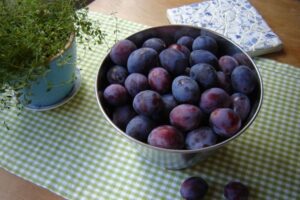 妊婦のプルーン過剰摂取に要注意、赤ちゃんの心臓に影響が出る可能性