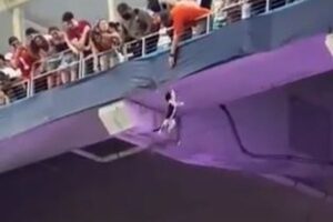 スタジアムの観客席からネコが落下、無事が確認され歓声が響き渡る