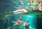 水の中でワニに遭遇、超接近して撮影された動画にドキドキ