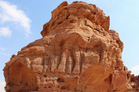 サウジアラビアで発見されたラクダのレリーフ、7000年前のものと推定