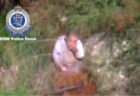 オーストラリアで3日間行方不明だった男の子、森で泥水をすすっている姿を発見