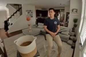 飼い主が投げたボールを当てて、バスケットに入れるコーギーが見事