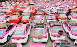新型コロナの影響で、タクシー会社が車を使って野菜を栽培する事態に【タイ】