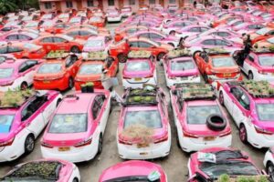 新型コロナの影響で、タクシー会社が車を使って野菜を栽培する事態に【タイ】