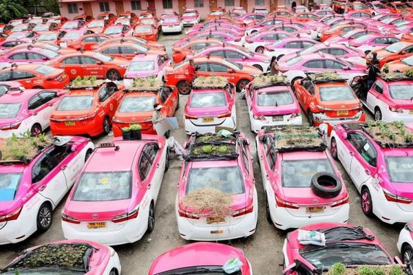 新型コロナの影響で、タクシー会社が車を使って野菜を栽培する事態に【タイ】