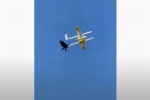 配達中のドローンがカラスに襲われ、危うく落下しそうに【オーストラリア】