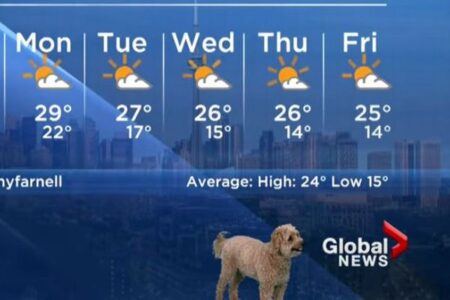 カナダの天気予報にワンコが登場、解説中に画面に映りこんでしまう