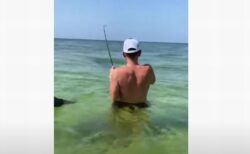 こんなことが…米男性が釣りをしていたところ、魚をイルカに奪われてしまう