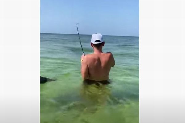 こんなことが…米男性が釣りをしていたところ、魚をイルカに奪われてしまう
