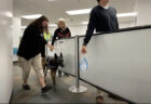 新型コロナを98.2%嗅ぎ分ける犬がドバイ空港で稼働開始、アメリカでもトライアルスタート