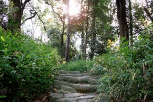 行方不明のトルコの男性が捜索隊に参加、名前を呼ばれ「俺はここです」