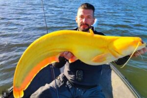 奇妙なまでに鮮やかな黄色い魚、釣り上げた人もびっくり