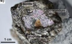 グリーンランドで発見されたルビーの中に、太古の生物の痕跡を発見