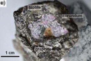 グリーンランドで発見されたルビーの中に、太古の生物の痕跡を発見