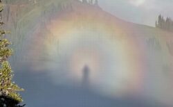 アメリカの山で「ブロッケン現象」に遭遇、人影の周りに美しい虹の輪が広がる【動画】