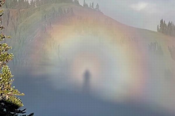 アメリカの山で「ブロッケン現象」に遭遇、人影の周りに美しい虹の輪が広がる【動画】