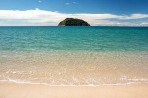 トンガ王国で初めて新型コロナの感染者を確認、NZからの旅行客に陽性反応