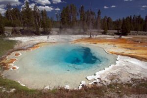 米の「イエローストーン」で熱水泉に入った犬を救おうとし、女性が全身に火傷