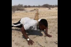 オリンピック銀メダリストが腕立て伏せ、背中にはミーアキャットがいた!